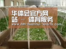 环境展示五