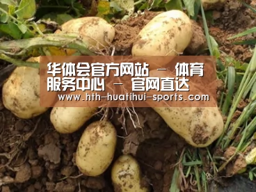 种植基地六