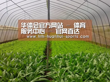 种植基地四