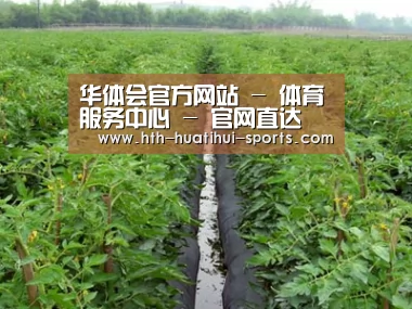 种植基地三