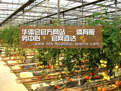 种植基地二