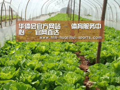 种植基地五