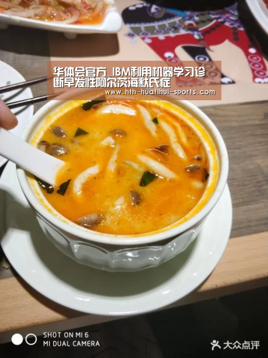 华体会官方_IBM利用机器学习诊断早发性阿尔茨海默氏症(图2) 华体会入口
