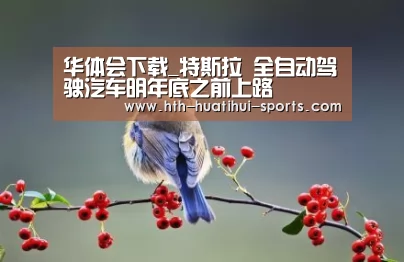华体会下载_特斯拉 全自动驾驶汽车明年底之前上路(图3) 华体会体育