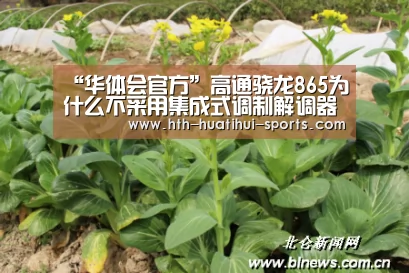 “华体会官方”高通骁龙865为什么不采用集成式调制解调器?(图2) 华体会下载