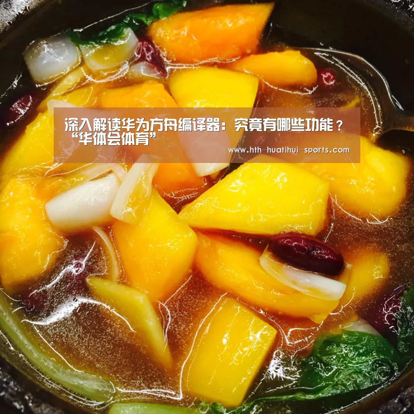 深入解读华为方舟编译器:究竟有哪些功能?“华体会体育”(图1) 华体会入口