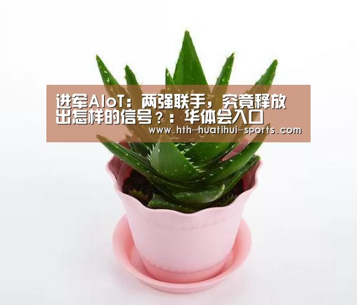 进军AIoT:两强联手,究竟释放出怎样的信号?:华体会入口(图1) 华体会下载