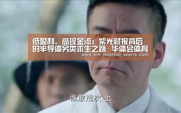 低盈利、高现金流:紫光财报背后的半导体另类求生之路-华体会体育(图2) 华体会官方
