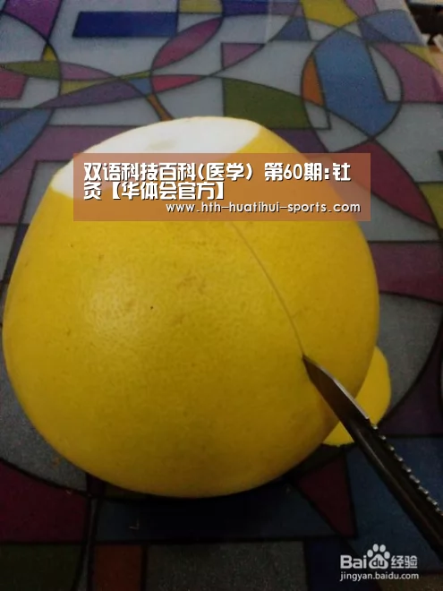 双语科技百科(医学) 第60期:钍灸【华体会官方】(图2) 华体会体育
