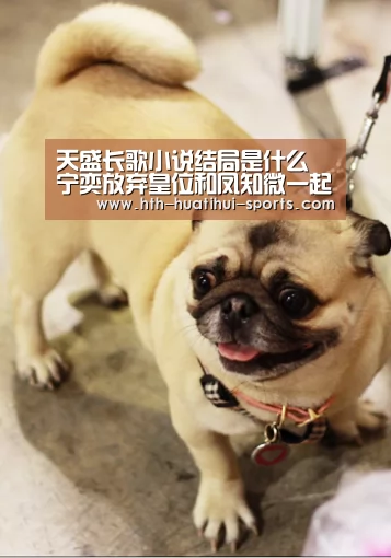 天盛长歌小说结局是什么 宁奕放弃皇位和凤知微一起退隐“华体会下载”(图2) 华体会体育