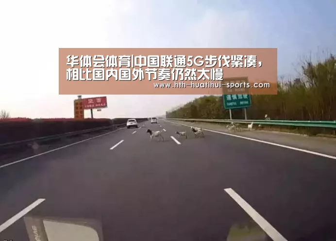 华体会体育|中国联通5G步伐紧凑,相比国内国外节奏仍然太慢(图2) 华体会官方